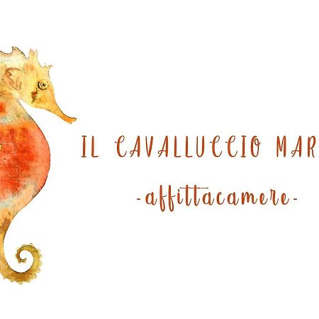 Il Cavalluccio Marino Manarola Luaran gambar