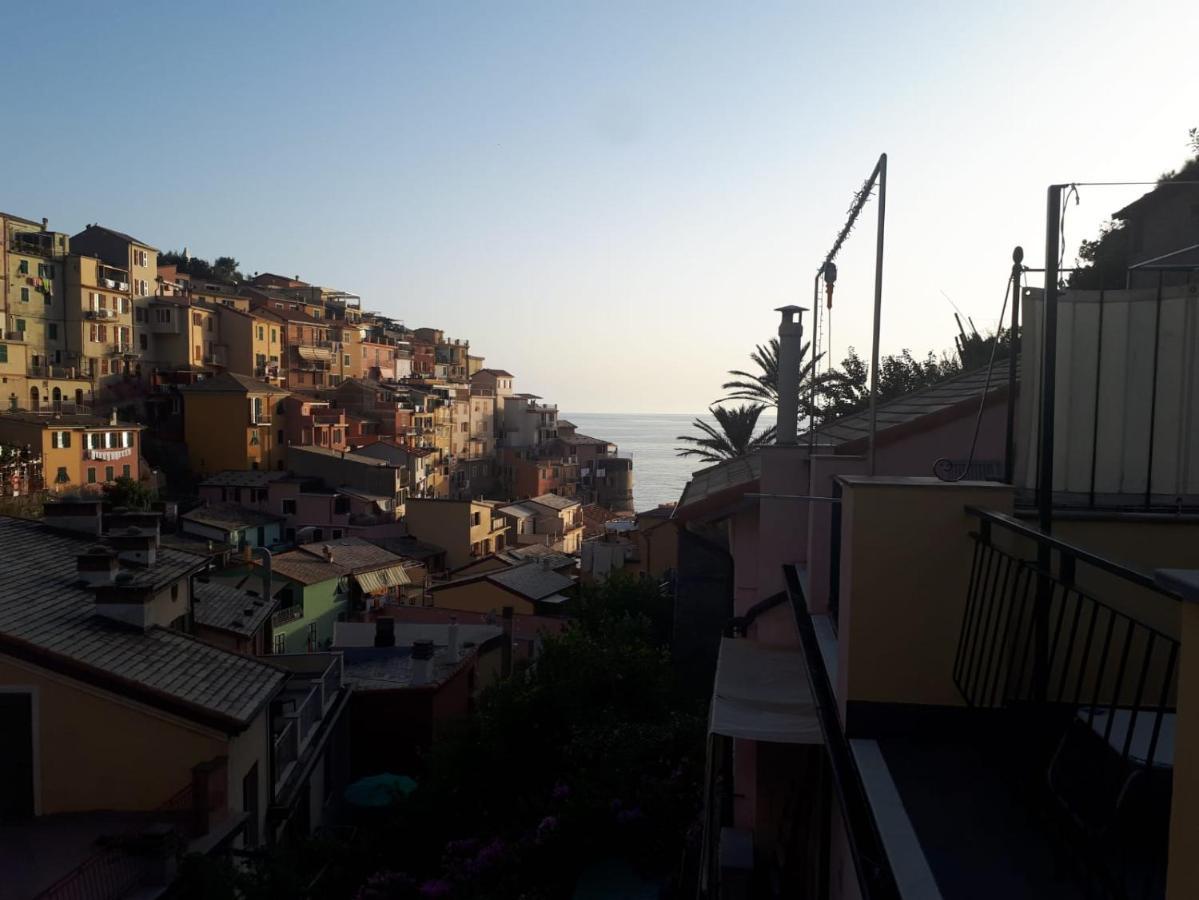 Il Cavalluccio Marino Manarola Luaran gambar